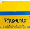 Ắc Quy Kín Khí VRLA-AGM TS1290 (12V – 9Ah) | Công Nghệ AGM, Ứng Dụng Mọi Lúc Mọi Nơi 4 ac quy phoenix ts1290 1