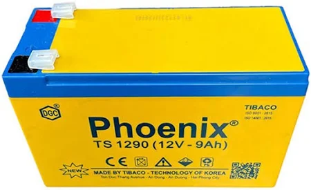 ac-quy-phoenix-ts1290-1 ac quy phoenix ts1290 1