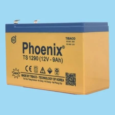 ac-quy-phoenix-ts1290 ac quy phoenix ts1290